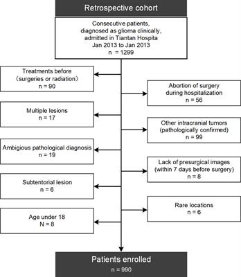 Spatial distribution of supratentorial diffuse gliomas: A retrospective study of 990 cases